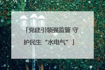 党建引领强监管 守护民生“水电气”