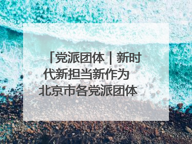 党派团体｜新时代新担当新作为 北京市各党派团体这么干！