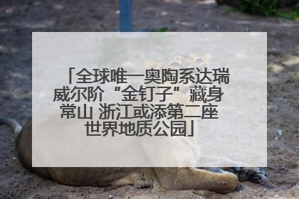 全球唯一奥陶系达瑞威尔阶“金钉子”藏身常山 浙江或添第二座世界地质公园