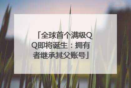 全球首个满级QQ即将诞生：拥有者继承其父账号