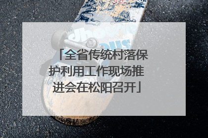 全省传统村落保护利用工作现场推进会在松阳召开