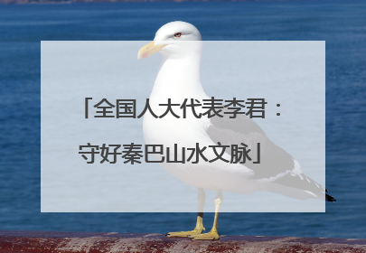 全国人大代表李君：守好秦巴山水文脉