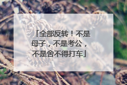 全部反转！不是母子，不是考公，不是舍不得打车