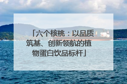 六个核桃：以品质筑基、创新领航的植物蛋白饮品标杆