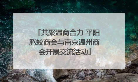 共聚温商合力 平阳腾蛟商会与南京温州商会开展交流活动