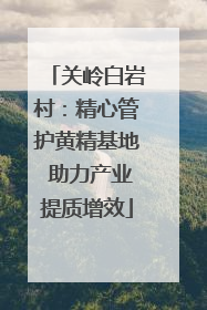 关岭白岩村：精心管护黄精基地 助力产业提质增效