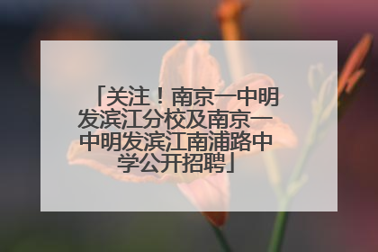 关注！南京一中明发滨江分校及南京一中明发滨江南浦路中学公开招聘