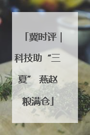 冀时评｜科技助“三夏” 燕赵粮满仓