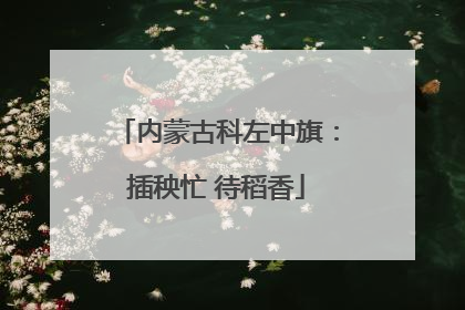 内蒙古科左中旗：插秧忙 待稻香