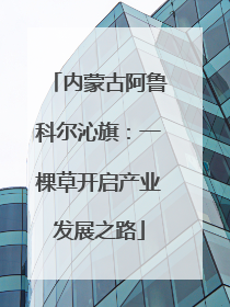 内蒙古阿鲁科尔沁旗：一棵草开启产业发展之路