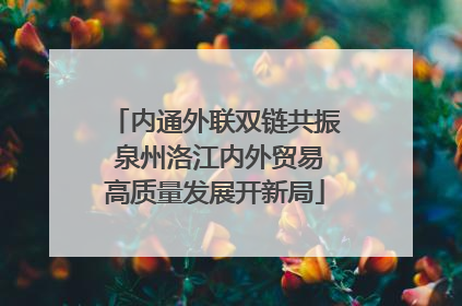 内通外联双链共振 泉州洛江内外贸易高质量发展开新局