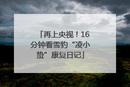 再上央视！16分钟看雪豹“凌小蛰”康复日记