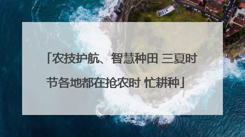 农技护航、智慧种田 三夏时节各地都在抢农时 忙耕种