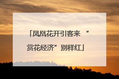 凤凰花开引客来 “赏花经济”别样红
