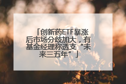 创新药ETF暴涨后市场分歧加大，有基金经理称透支“未来三五年”