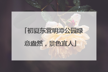 初夏东营明潭公园绿意盎然，景色宜人