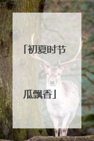 初夏时节瓜飘香