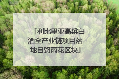 利比里亚高粱白酒全产业链项目落地自贸雨花区块