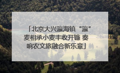 北京大兴瀛海镇“瀛”麦相承小麦丰收开镰 奏响农文旅融合新乐章