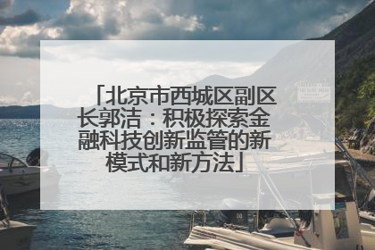 北京市西城区副区长郭洁：积极探索金融科技创新监管的新模式和新方法