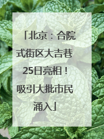 北京：合院式街区大吉巷25日亮相！吸引大批市民涌入