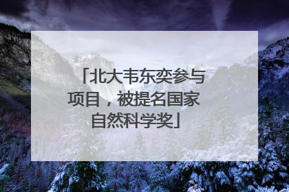 北大韦东奕参与项目，被提名国家自然科学奖