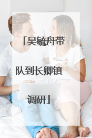吴毓舟带队到长卿镇调研