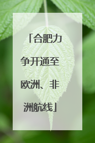 合肥力争开通至欧洲、非洲航线