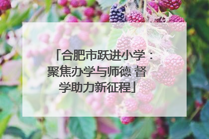 合肥市跃进小学：聚焦办学与师德 督学助力新征程