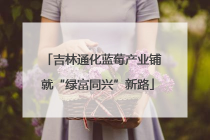 吉林通化蓝莓产业铺就“绿富同兴”新路