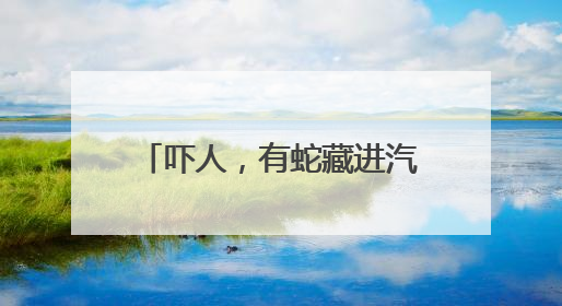 吓人，有蛇藏进汽车引擎盖！北京9天接9起“蛇警”