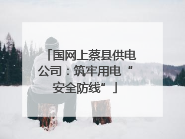 国网上蔡县供电公司：筑牢用电“安全防线”