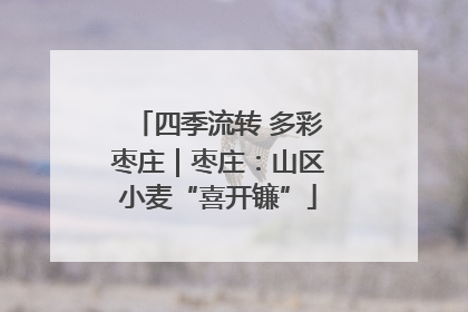 四季流转 多彩枣庄｜枣庄：山区小麦“喜开镰”