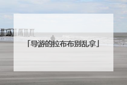 导游的拉布布别乱拿