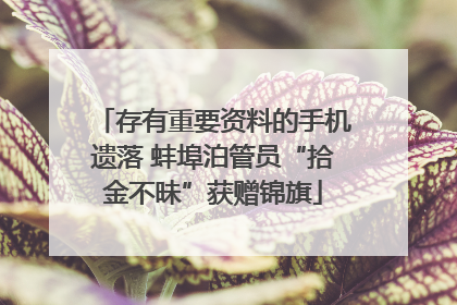 存有重要资料的手机遗落 蚌埠泊管员“拾金不昧”获赠锦旗
