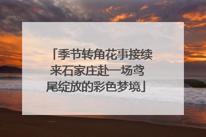 季节转角花事接续 来石家庄赴一场鸢尾绽放的彩色梦境
