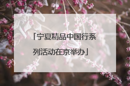 宁夏精品中国行系列活动在京举办