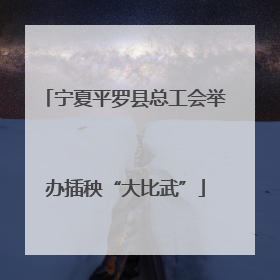 宁夏平罗县总工会举办插秧“大比武”