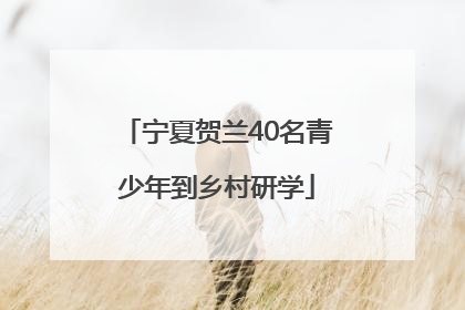 宁夏贺兰40名青少年到乡村研学