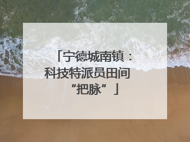 宁德城南镇：科技特派员田间“把脉”