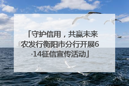 守护信用，共赢未来 农发行衡阳市分行开展6·14征信宣传活动