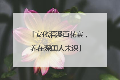 安化滔溪百花寨，养在深闺人未识