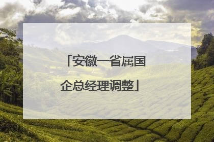 安徽一省属国企总经理调整