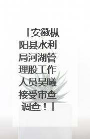 安徽枞阳县水利局河湖管理股工作人员吴曦接受审查调查！