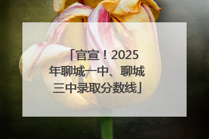 官宣！2025年聊城一中、聊城三中录取分数线