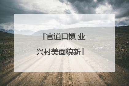 官道口镇 业兴村美面貌新