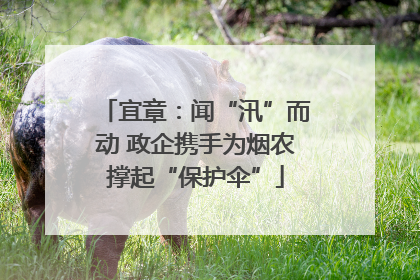 宜章：闻“汛”而动 政企携手为烟农撑起“保护伞”