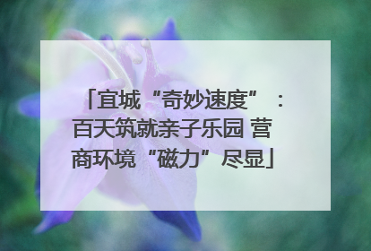 宜城“奇妙速度”：百天筑就亲子乐园 营商环境“磁力”尽显