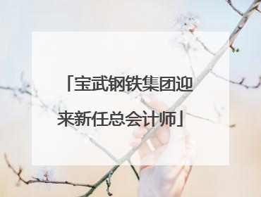 宝武钢铁集团迎来新任总会计师