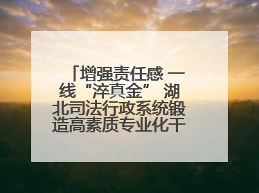 增强责任感 一线“淬真金” 湖北司法行政系统锻造高素质专业化干警队伍